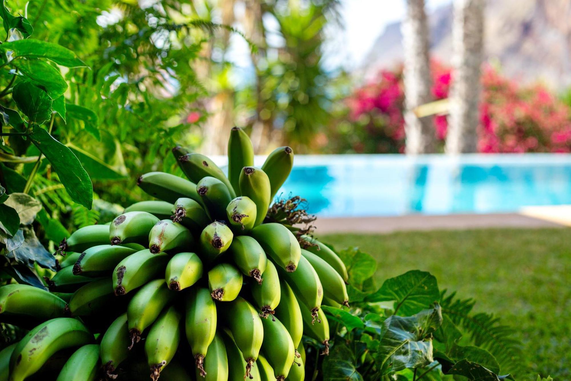 Bela Vigia Villa Jardim do Mar Luaran gambar